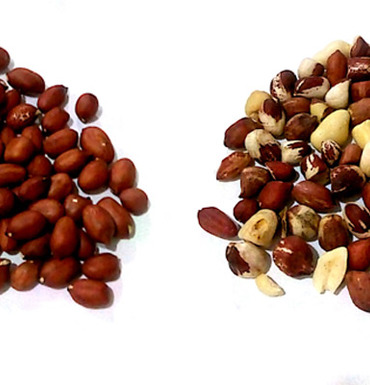 Groundnuts