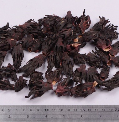 Hibiscus Flowers