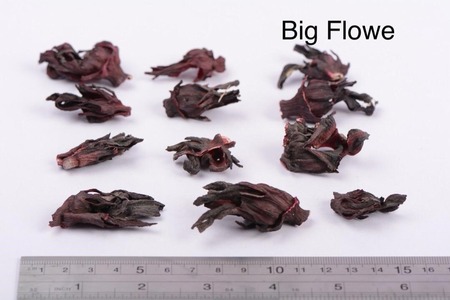 -Hibiscus Flowers
