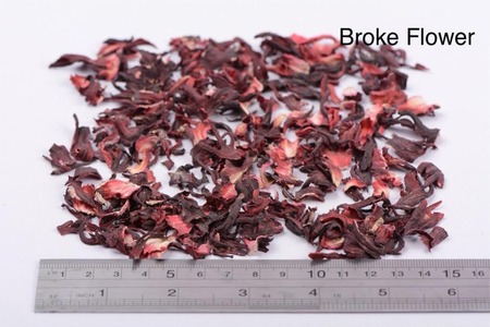 -Hibiscus Flowers