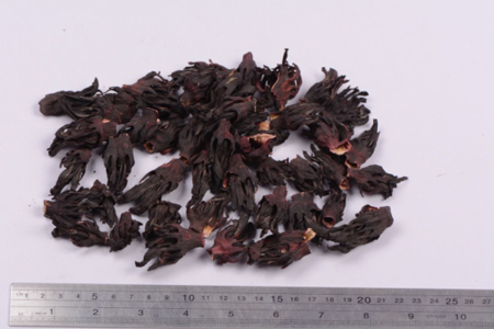 -Hibiscus Flowers