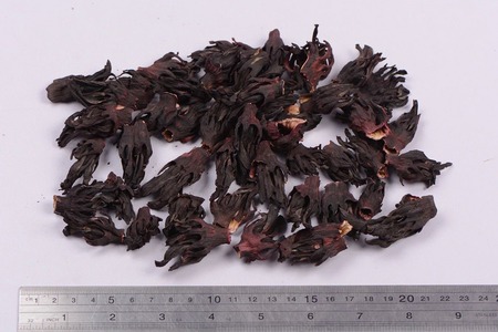 -Hibiscus Flowers