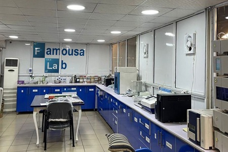 Company profile-